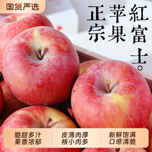 红富士苹果9斤新鲜当季整箱包邮山东脆甜多汁皮薄肉厚新鲜饱满