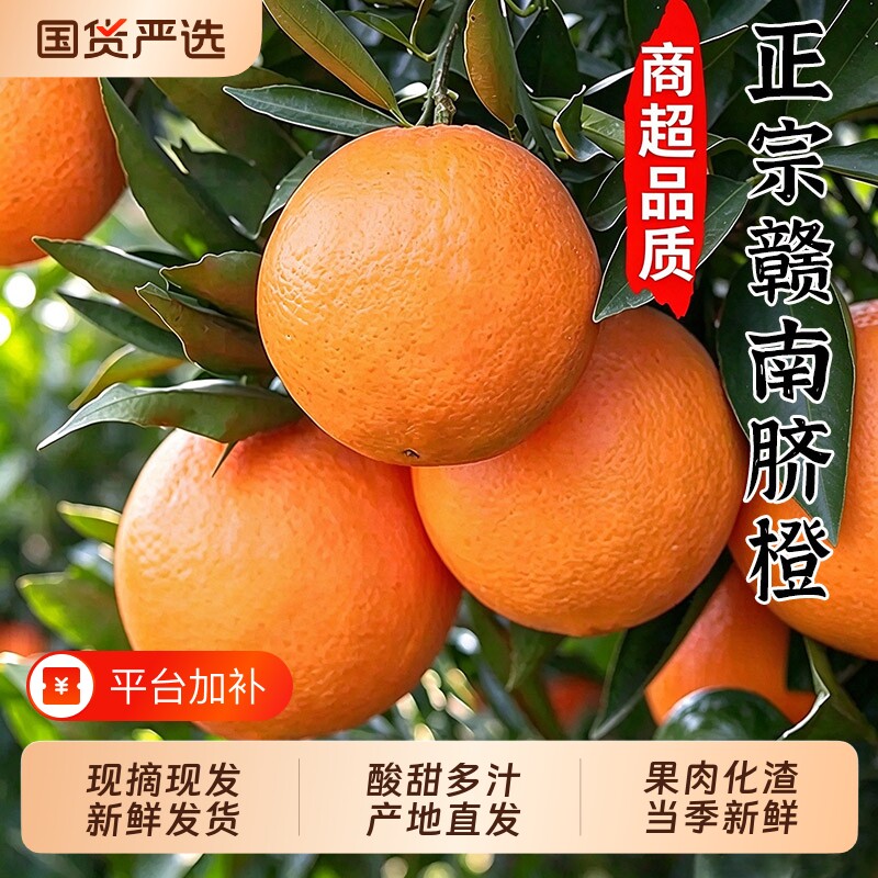 正宗赣南脐橙江西脐橙水果新鲜当季整箱榨汁橙赣州脐橙产地直发