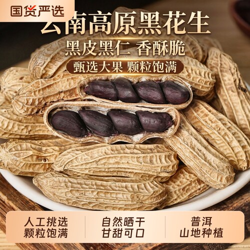 新货富硒黑花生带壳生吃种子籽云南鲜湿晒干糯老品种普洱黑皮油炸