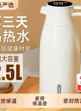 玻璃内胆保温暖水壶大容量保温壶冬天保暖壶家用暖ghyx热水长效