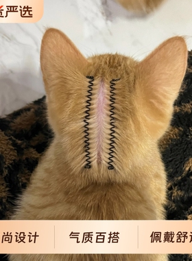 猫咪驱虫分毛夹狗狗通用发夹