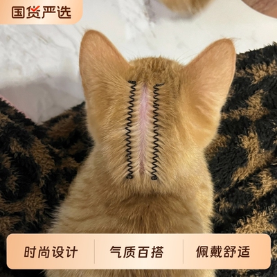 猫咪驱虫分毛夹狗狗通用发夹