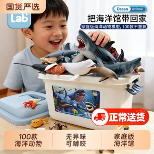 儿童海洋动物玩具模型仿真海底世界生物大白鲨鲸鱼类礼物海豚早教