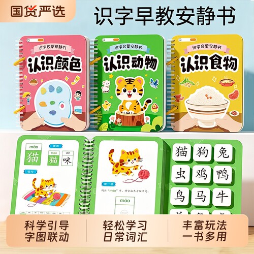 识字书幼儿童看图识物卡片
