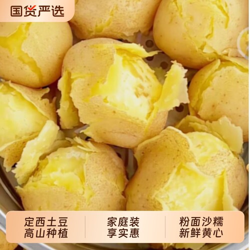 2026年甘肃沙面土豆新鲜黄皮黄心洋芋定西马铃薯辅食开花