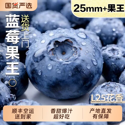 【云南蓝莓钜惠】京东空运送到家