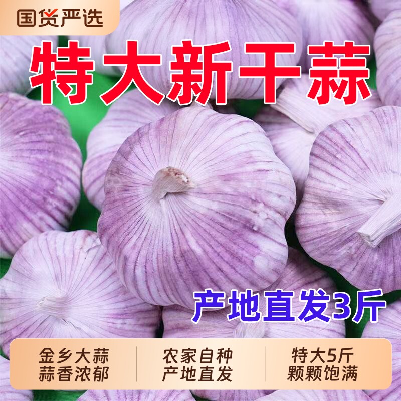 山东金乡紫皮大蒜头干蒜农家自种蔬菜红皮大蒜新鲜当季批发价自提
