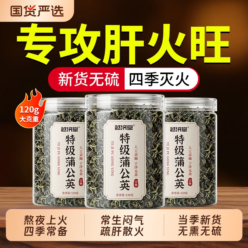 特级野生蒲公英茶正品中药材散清疏肝官方旗舰店养生茶新鲜泡水喝
