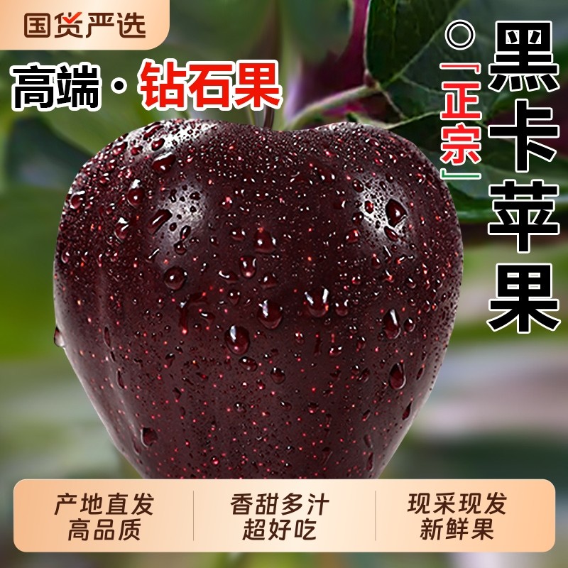 正宗甘肃黑卡苹果黑钻蛇果当季新鲜水果整箱包邮孕妇冰糖心脆面