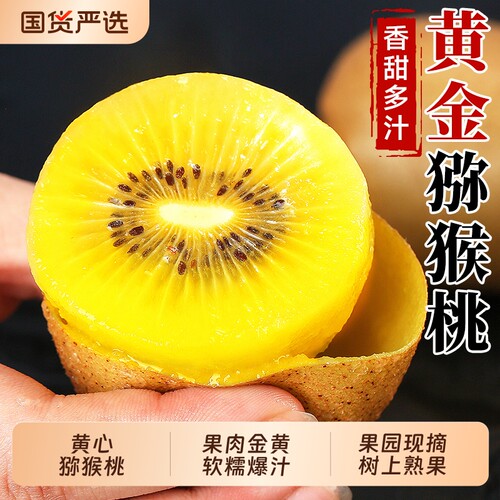 黄心猕猴桃新鲜现摘纯甜多汁当季