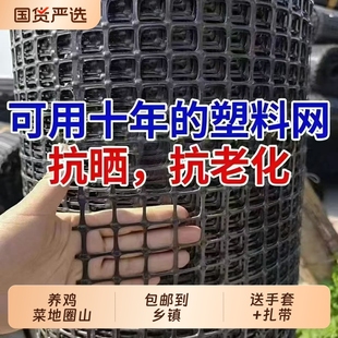 养鸡养鸭网塑料围栏网防护网果园圈地隔离网格栅养殖网菜地抗老化