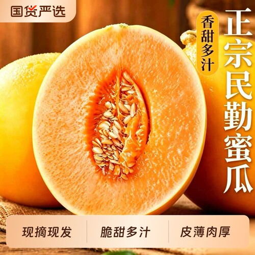 甘肃民勤黄河蜜瓜甜瓜新鲜水果