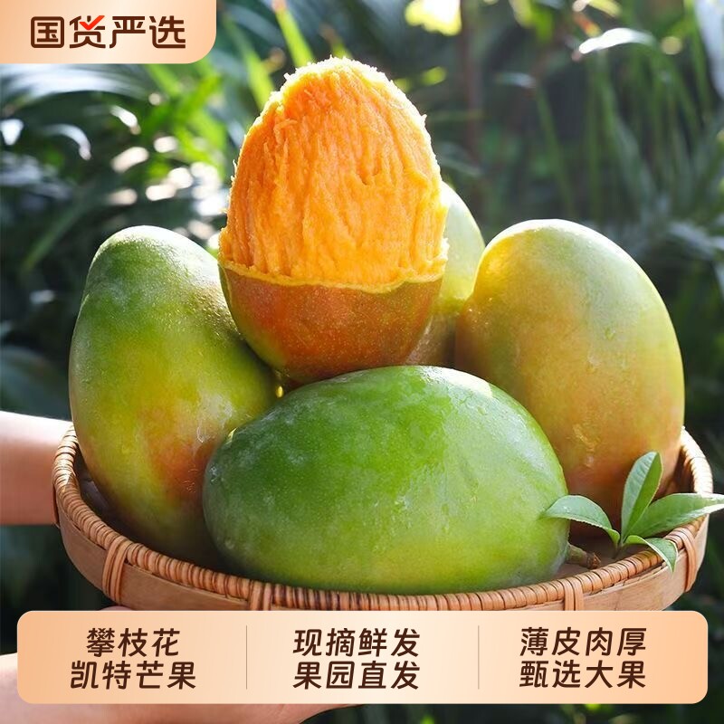 凯特芒果正宗应季水果新鲜批发价批发大青芒特大整箱大果果肉现摘