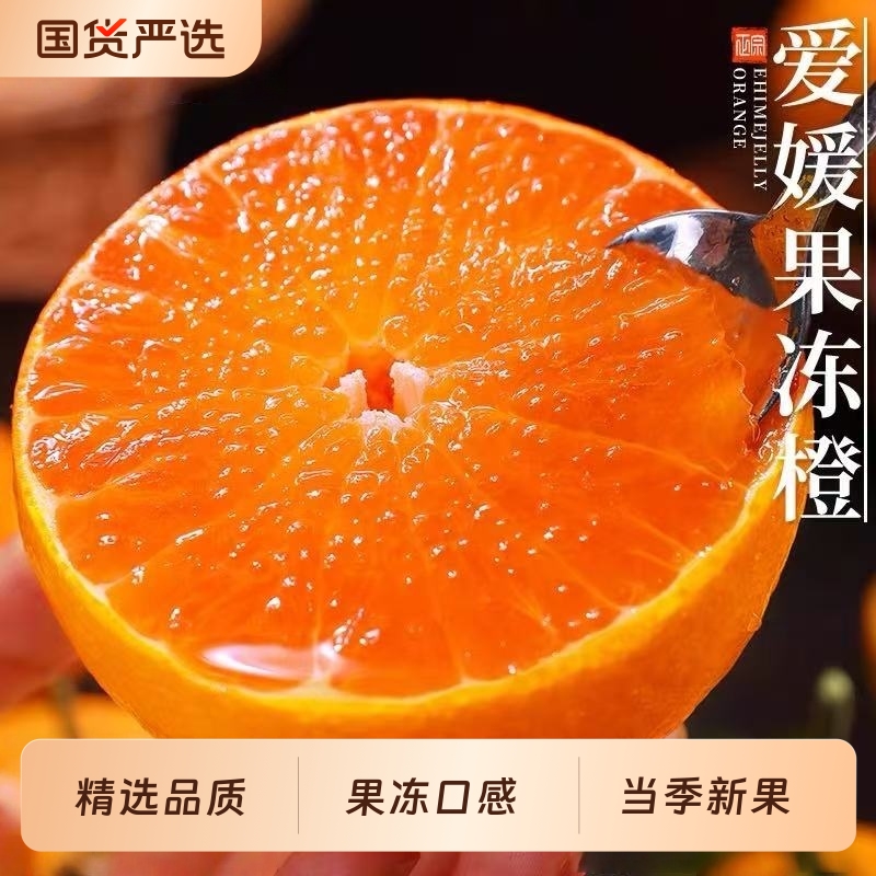 爱媛38号果冻橙8斤|113人收藏