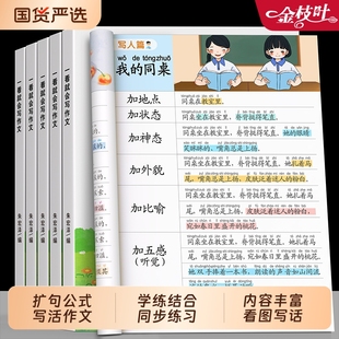 扩句法写作文小学语文一看就会五感法一本通练字帖二年级每日晨读三四五六年级下册同步练习素材优美句子积累好词好句好段训练册