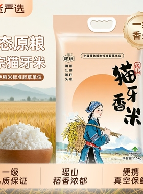2025年农村晚稻瑶山正宗猫牙香米5KG长粒大米软糯煲仔饭炒饭用米