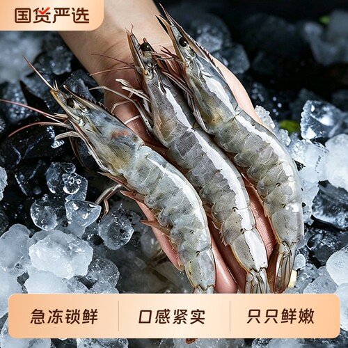 青岛海捕大虾冷冻锁鲜速冻海鲜