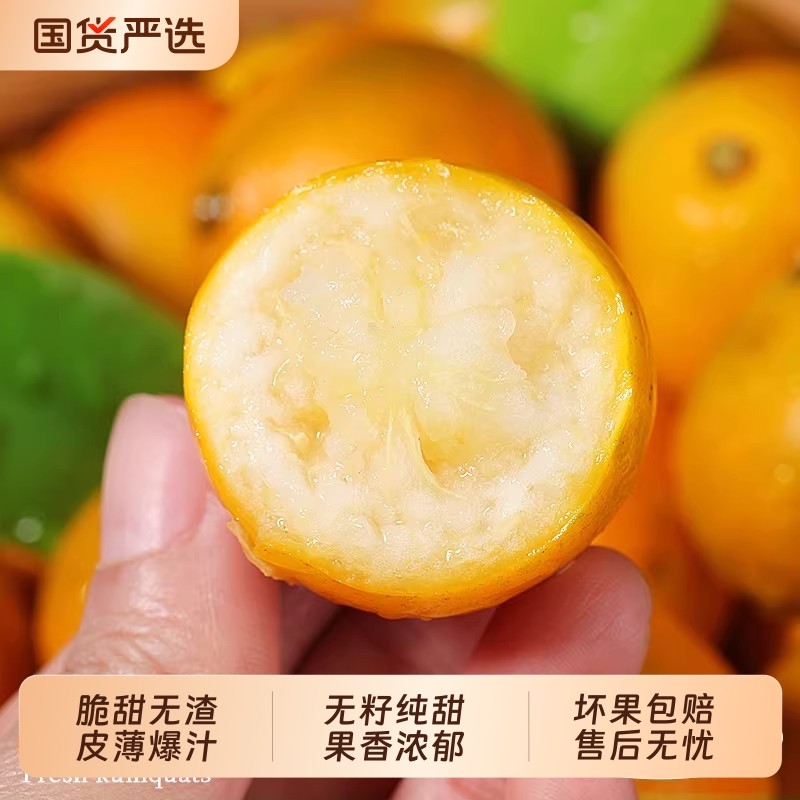 广西融安脆皮金桔新鲜水果桔子当季现摘甜蜜小金柑桔金橘特产整箱,水产肉类/新鲜蔬果/熟食,桔子,淘宝优惠券,粉丝福利购,淘宝优惠卷
