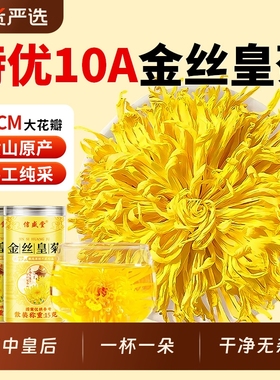 菊花金丝皇菊茶一朵一杯特级大黄菊花去火清热解毒正品官方旗舰店