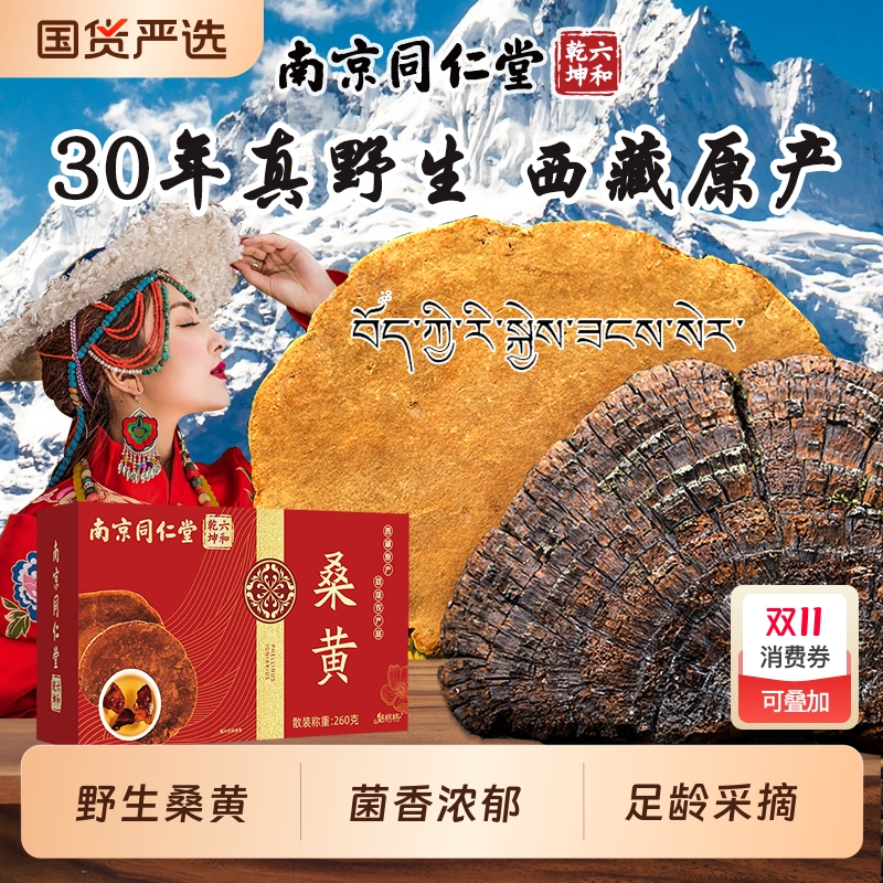 南京同仁堂桑黄正宗桑树桑黄正宗灵芝干货切块切片煲汤煮水旗舰店