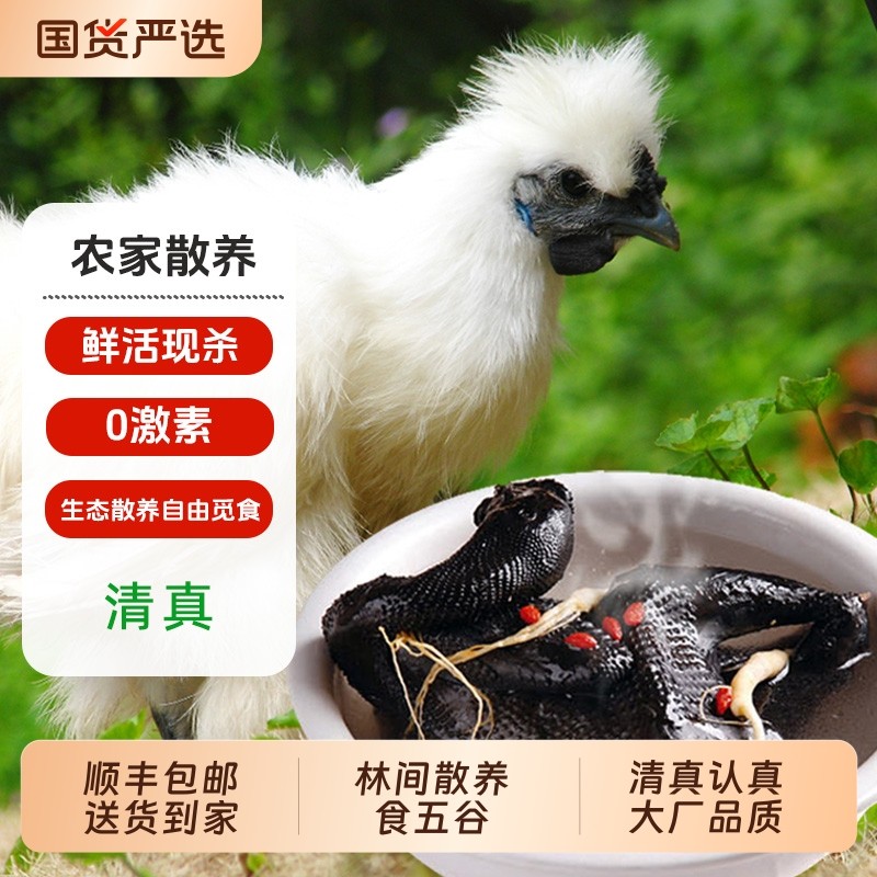 清真乌鸡新鲜农家散养正宗乌骨鸡煲汤整只鲜活现杀公鸡母鸡土鸡