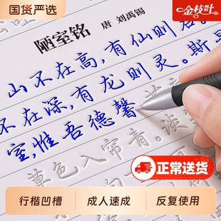 【15天练好字】行楷字帖成人练字专用凹槽练字帖行书字帖反复使用练习成年速成男女生大人静心硬笔书法练字本