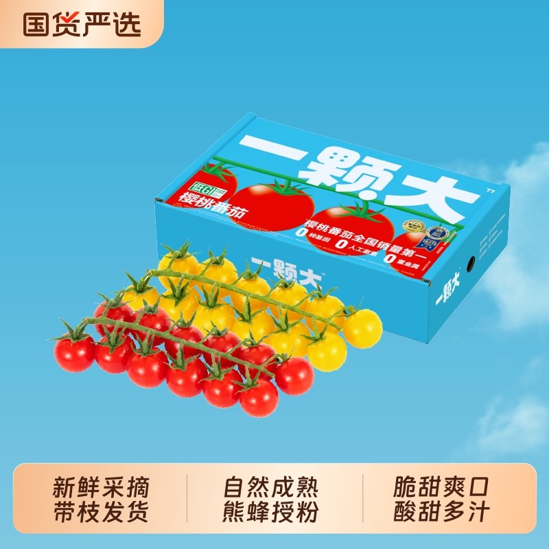 串收番茄樱桃小番茄西红柿新鲜串红圣女果黄金比直发顺丰一颗美味