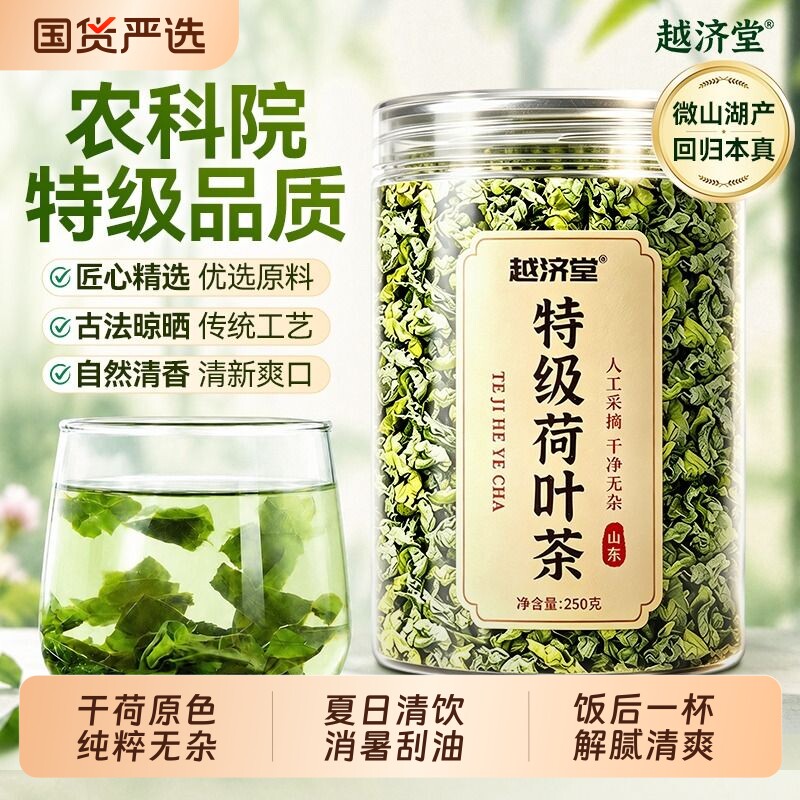 越济堂特级微山湖荷叶茶刮油湿图片