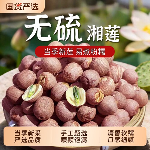 特级莲子带芯红干货500g粒红皮有芯红莲湖南湘潭湘莲去芯新货无硫