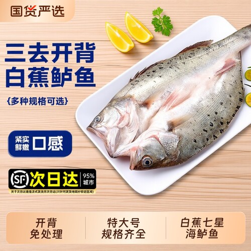 新鲜海鲈鱼开背冷冻鲜活