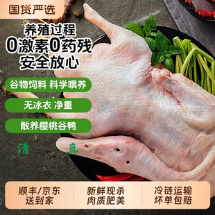 樱桃谷鸭现杀鸭肉新鲜白条鸭冷冻农家散养批发商用整只美味清真