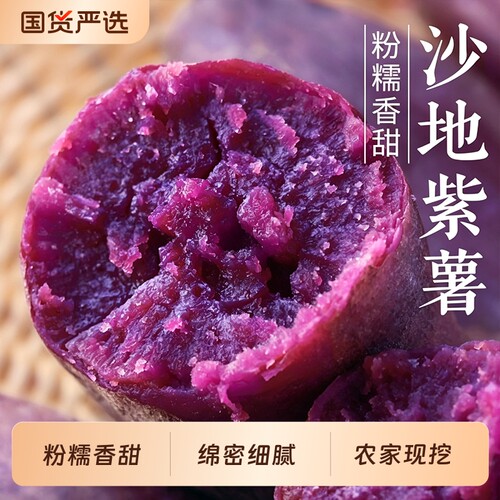 紫薯新鲜沙地紫红薯紫地瓜