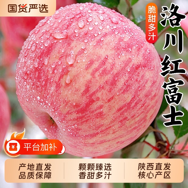 正宗陕西特产洛川红富士苹果水果新鲜当季一级果整箱试吃产地直发