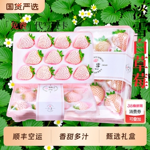 淡雪草莓白色奶油草莓新鲜当季高档水果送礼物顺丰空运礼盒装生鲜