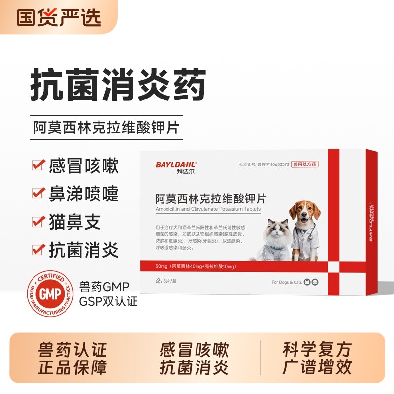 拜达尔宠物专用阿莫西林消炎药