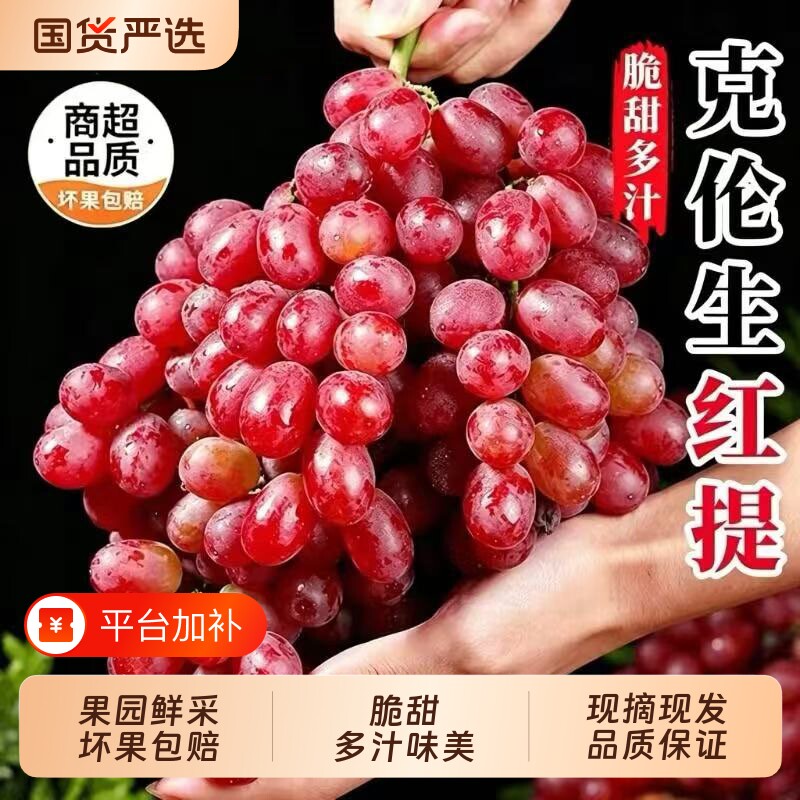 克伦生无籽红提高山葡萄新鲜当季水果整箱整串提子孕妇产地直供