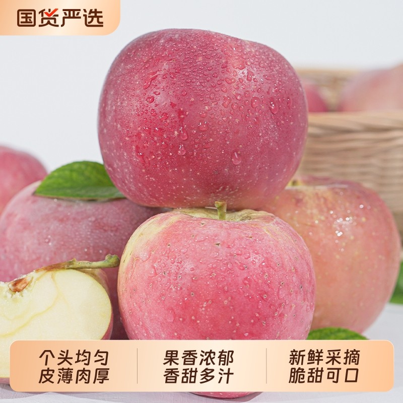 【新鲜采摘】当季新鲜水果高原红富士苹果脆甜多汁批发价膜袋苹果