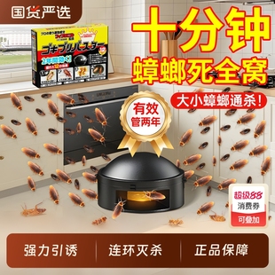 官方旗舰店 灭蟑螂药家用无毒全窝端室内强效除杀虫卵第一名正品