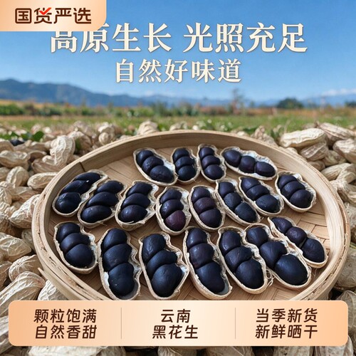 云鲜赞云南黑花生富硒2026新货种带壳黑皮花生米新鲜油炸散装食材