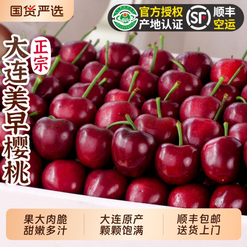 正宗大连美早樱桃应季水果现摘产地直发孕妇5J水果车厘子新鲜包邮