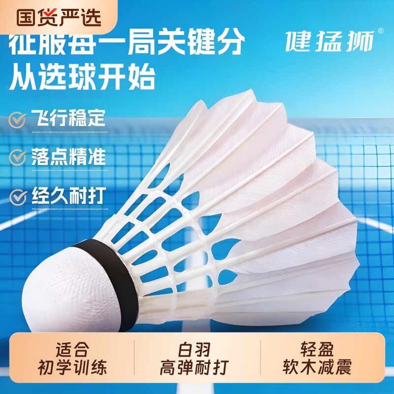 专业耐打羽毛球耐用鹅毛12支装抗风比赛训练专用训练球防风优质