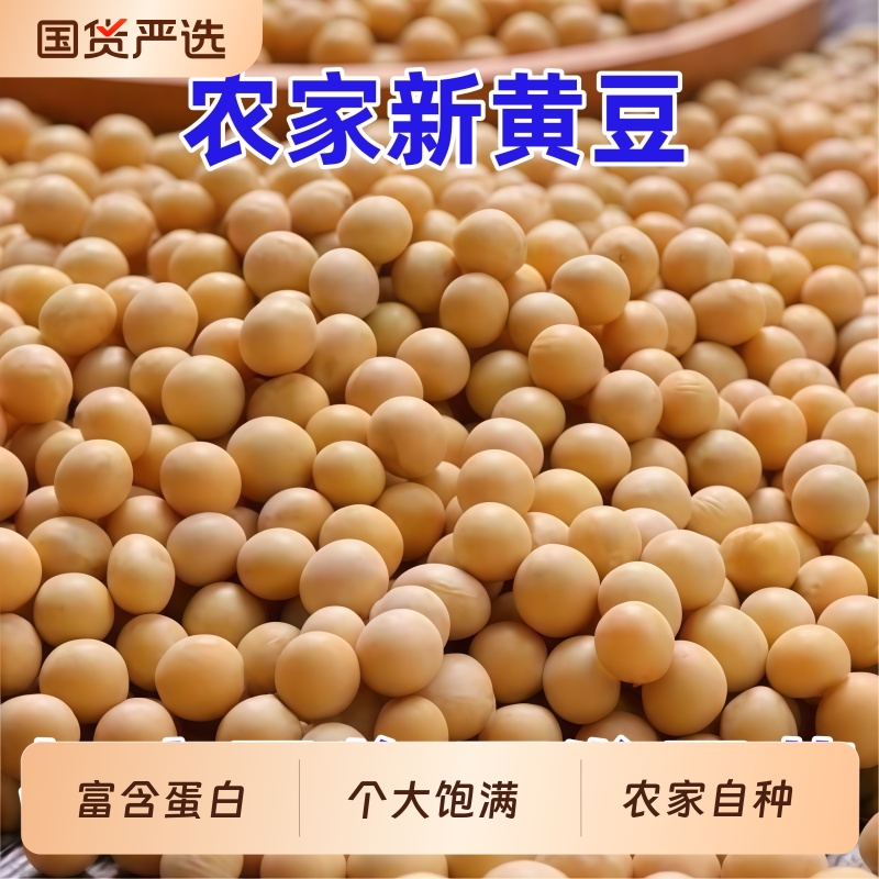 优质黄豆新鲜大豆子土黄豆打豆浆专用五谷杂粮农家自种发豆芽新货