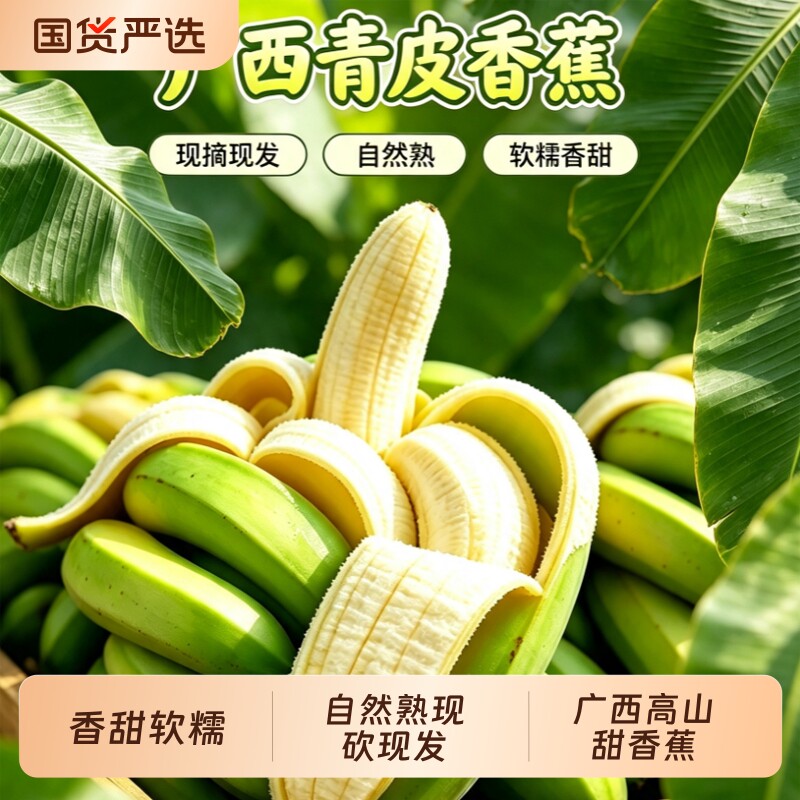 广西高山青皮香蕉现摘现发自然熟香甜软糯整箱新鲜应季水果单根