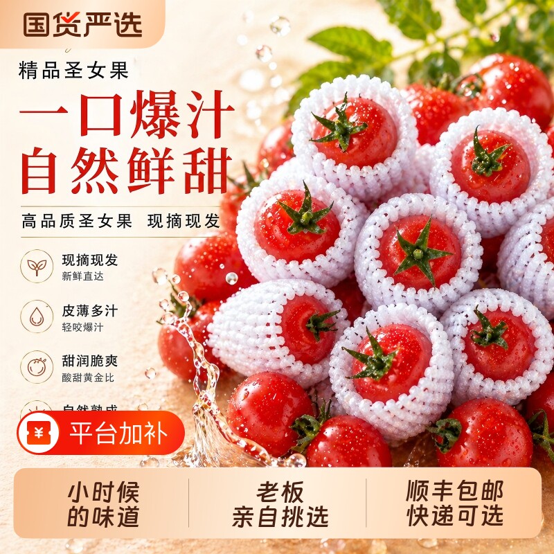 圣女果正宗山东千禧果小番茄水果小西红柿小蕃茄蔬菜整箱顺丰包邮
