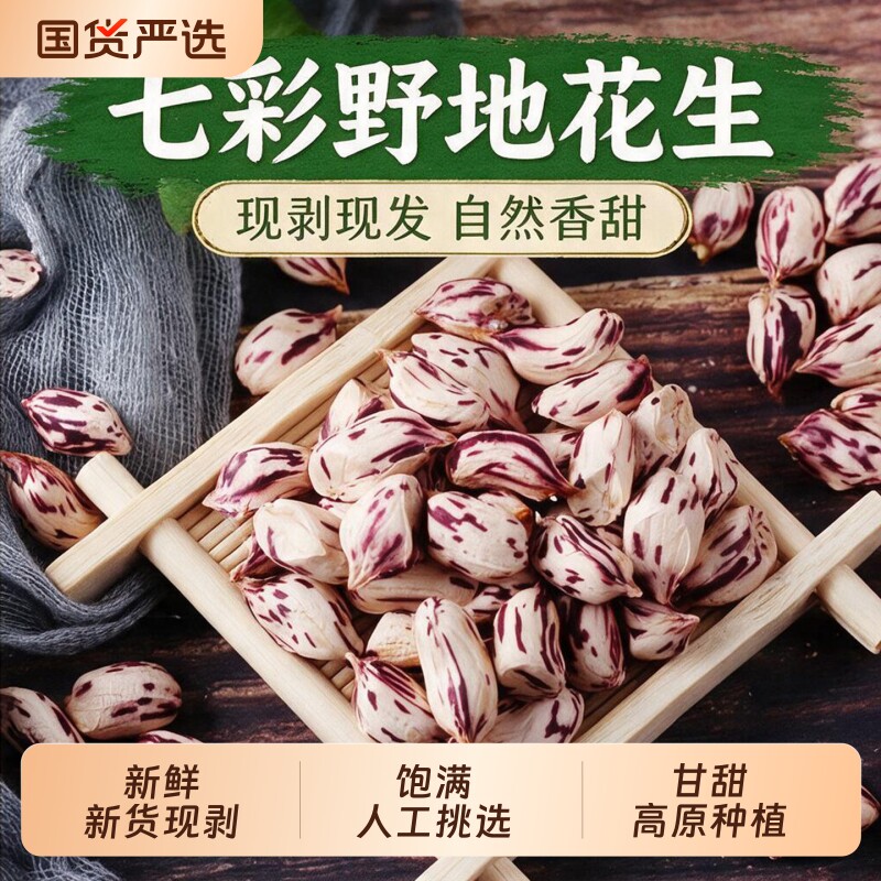 七彩花生2026新云南七彩野地花生晒干带壳生熟彩色米水果原味多彩