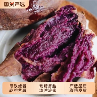 豫小派泰紫薯1号新鲜紫薯黑美人香甜软糯糖心流油蜜紫心红薯山芋