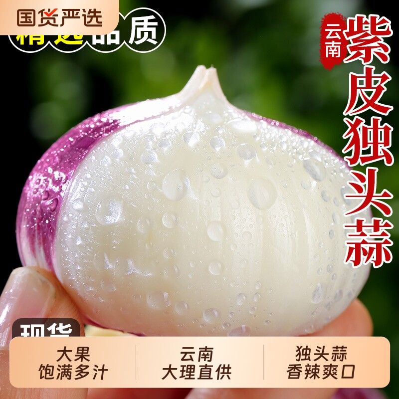 独头蒜云南大理紫皮大蒜湿蒜5斤大蒜头10新鲜干新蒜蒜米包邮自种