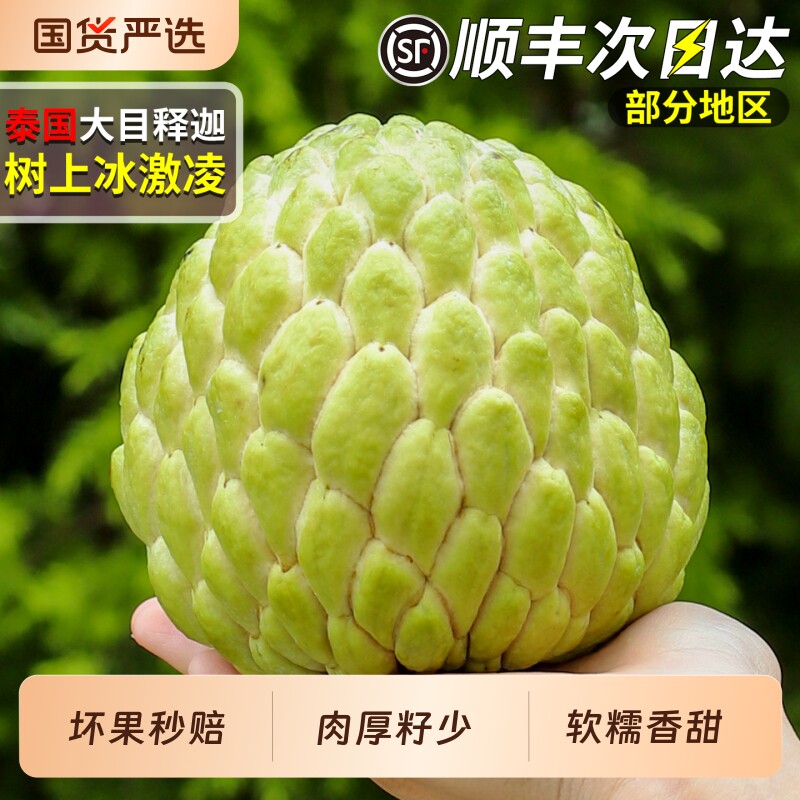 顺丰速达 泰国大目释迦5斤当季新鲜水果番荔枝佛头林檎果整箱包邮