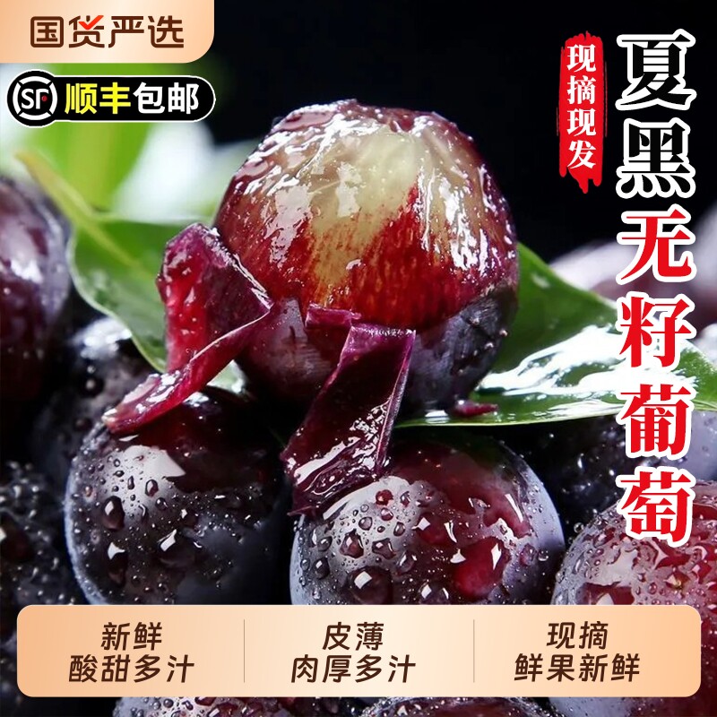 正宗夏黑葡萄新鲜应当季无籽葡萄黑加仑提子孕妇水果顺丰包邮整箱