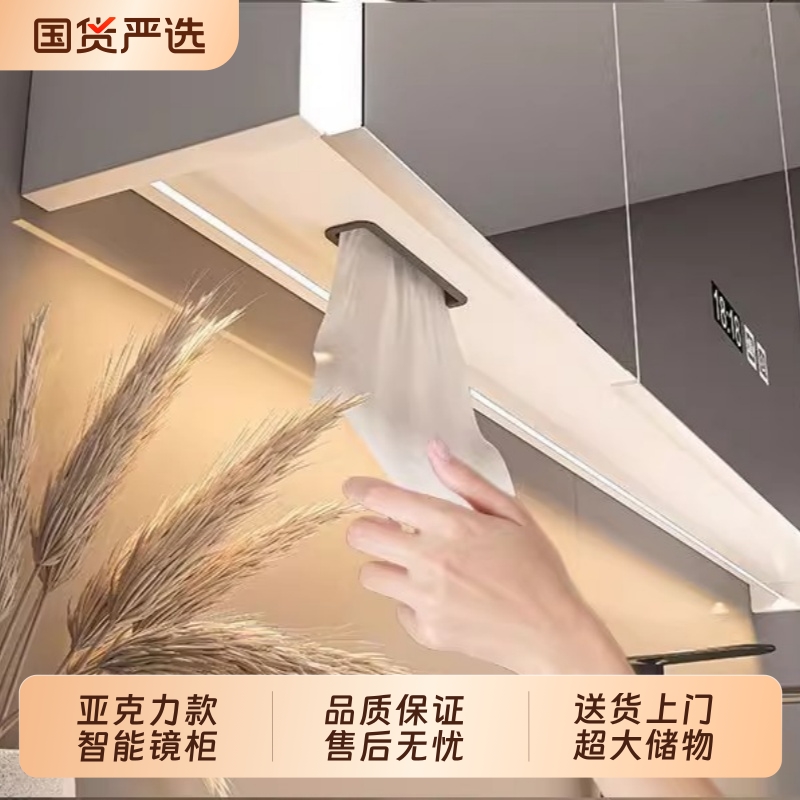 实木智能浴室镜柜单独挂墙式带灯卫生间镜子收纳柜子镜箱亚克力